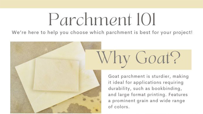Pergamena Parchment Goatskin, Character Prepared