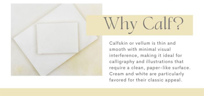 Pergamena Parchment Vellum Calfskin, Classic Cream, Calligraphy Prepared